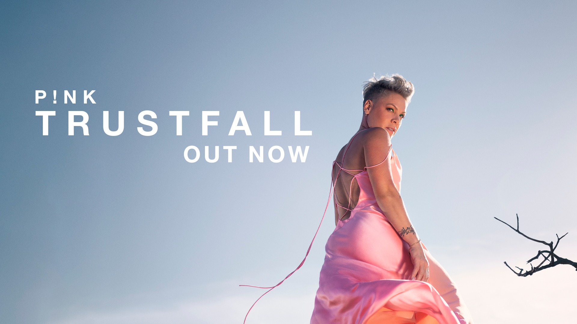 P!nk: TRUSTFALL Tour – Kaseya Center Miami, FL. Tonight! Nov 14th