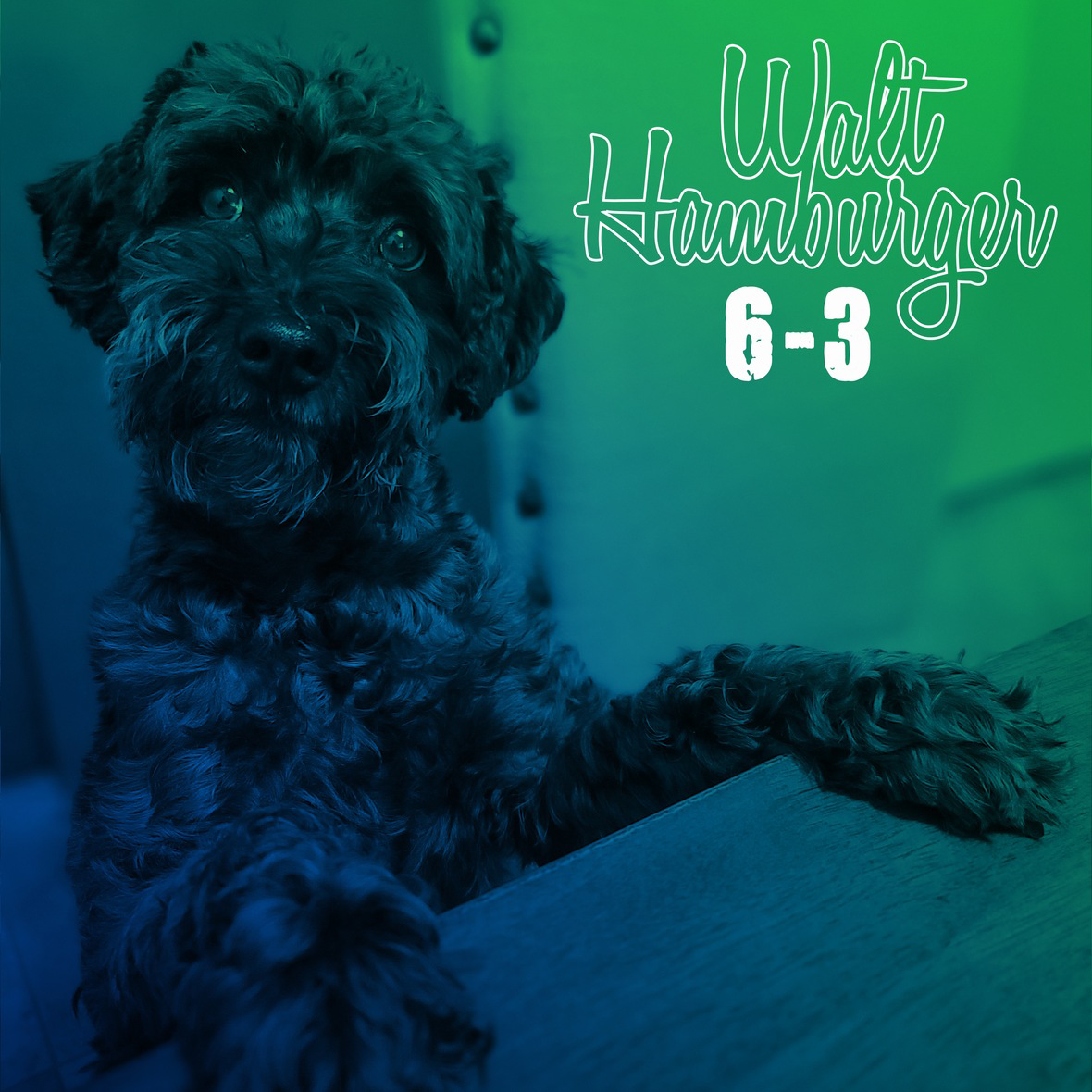 Walt Hamburger Drops New Single “6-3” Featuring Punk Legends – Full-Band LP Coming Soon